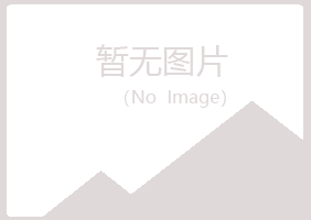 铁法夏岚采矿有限公司